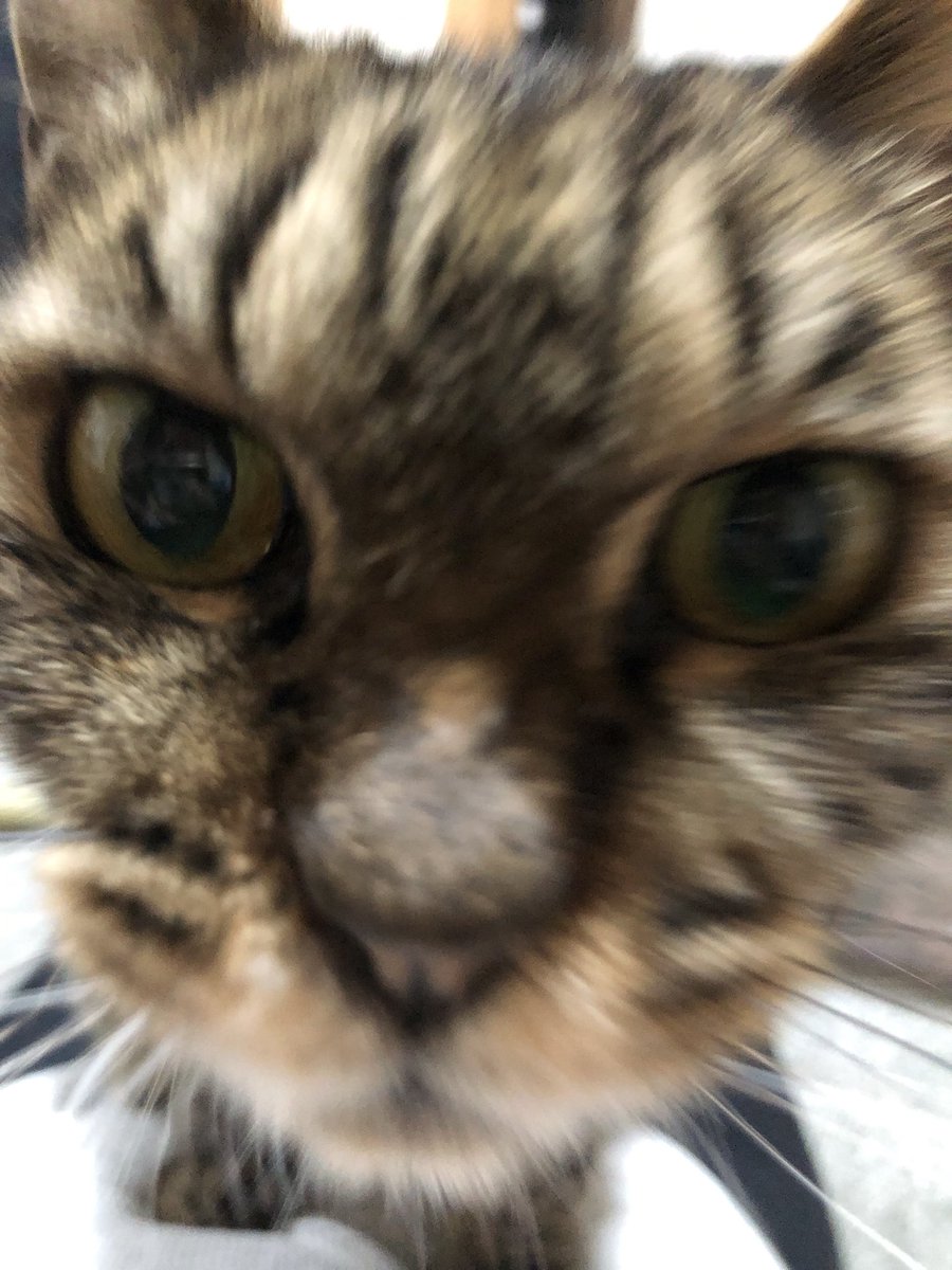 roar___roe's tweet photo. インスタにもあげたけど、、こっちにも

今日6月6日を、
むっちゃんの誕生日とする🎂 https://t.co/0s8nrtAiH4