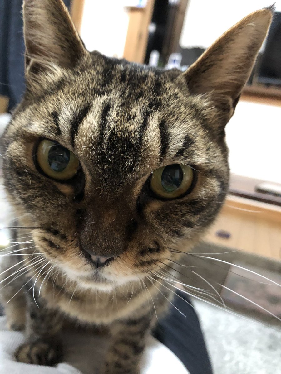 roar___roe's tweet photo. インスタにもあげたけど、、こっちにも

今日6月6日を、
むっちゃんの誕生日とする🎂 https://t.co/0s8nrtAiH4