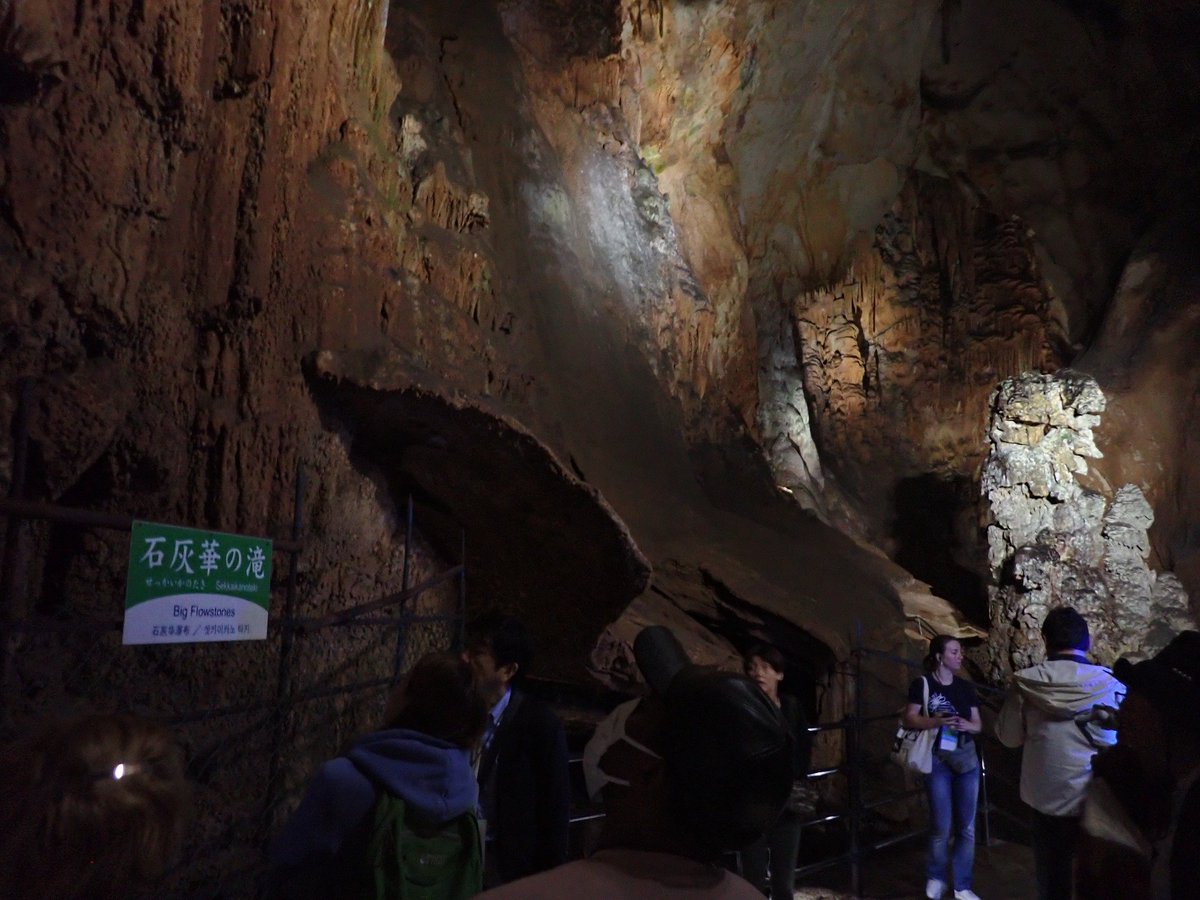 15th International Conference on Copepoda tweet media