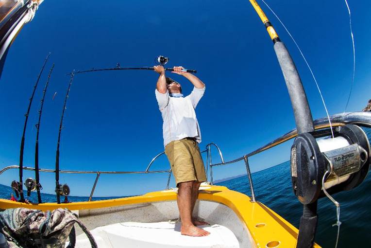 RTurismoMx's tweet photo. La Paz, Baja California Sur, se distingue por su compromiso con la conservación de los recursos marinos, promoviendo prácticas responsables de pesca, así como eventos que no sólo prometen aventuras y grandes capturas...

https://t.co/Hzo8IvmOAr

@golapaz @prcentralmx https://t.co/5nJT0NoJVE