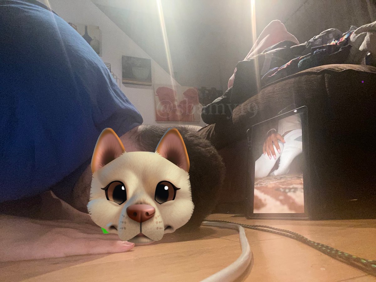 sbamy19's tweet photo. just like a pathetic stupid slave bowing to my perfect feet in dirty smelly socks, freak 🫵🏽😂

[findom paypig cashslave humanatm cuckold cucki footfetish feet soles moneydom socken socks nylons cuck] https://t.co/uWEiOH6uJ7