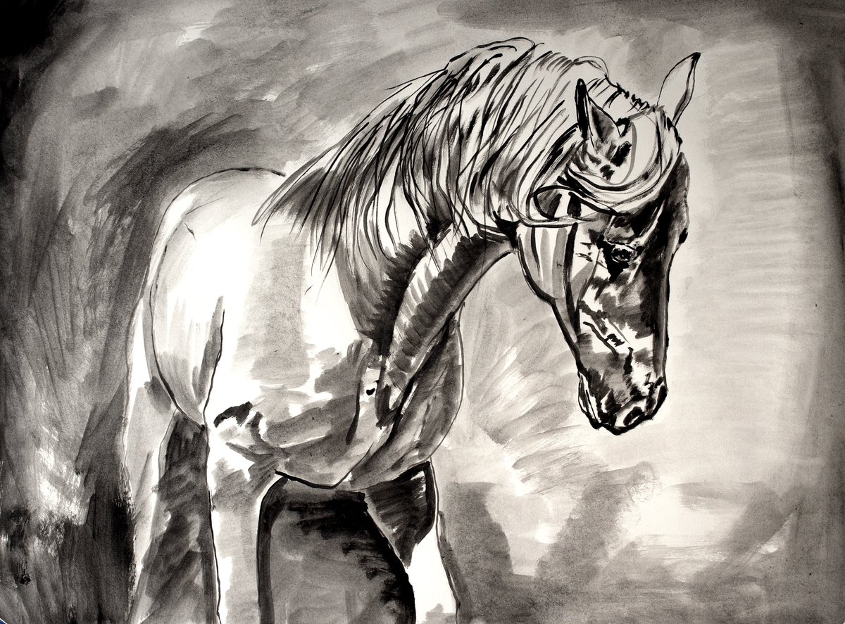 Horse Of A Different Color tweet media