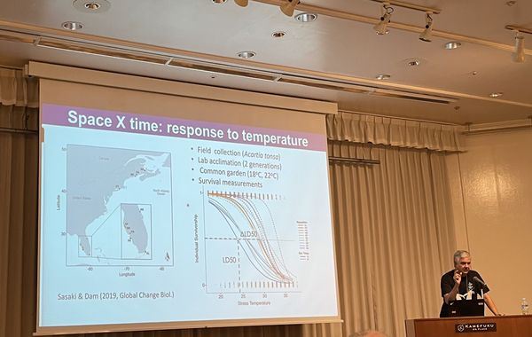 15th International Conference on Copepoda tweet media