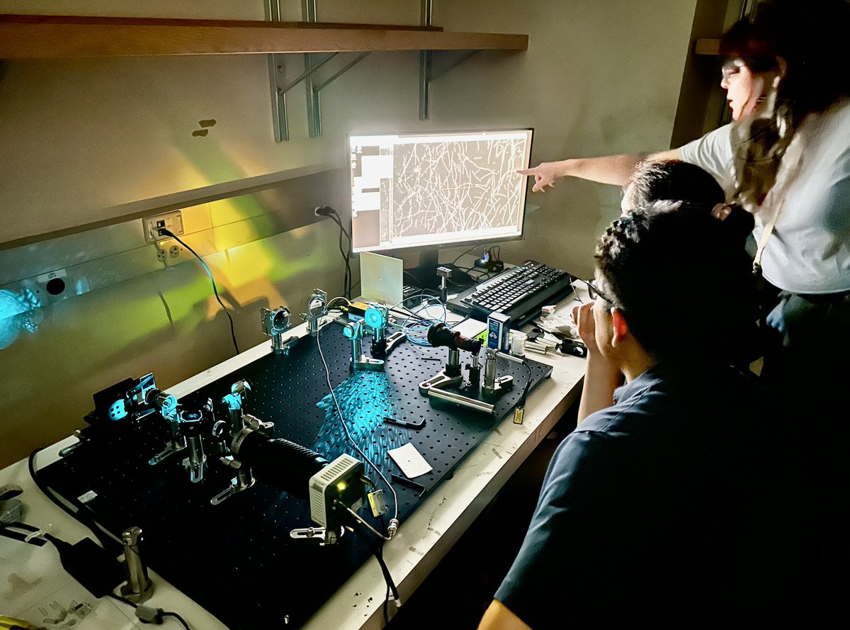 brangwynnelab (@brangwynnelab) on Twitter photo Fantastic moment (of many) @ #MBLPhysiology <a href="/MBLScience/">Marine Biological Laboratory (MBL)</a> w/ students looking at microtubules & freshly-purified squid kinesin on TIRF microscope they just built! This student team shepherded by <a href="/evangelosgg/">Evangelos Gatzogiannis</a> & fellow microscopists <a href="/TanFad/">Tanner Fadero</a> <a href="/JennySachweh/">Jenny Sachweh</a> <a href="/AndrewGYork/">Andrew York</a> Fantastic moment (of many) @ #MBLPhysiology <a href="/MBLScience/">Marine Biological Laboratory (MBL)</a> w/ students looking at microtubules & freshly-purified squid kinesin on TIRF microscope they just built! This student team shepherded by <a href="/evangelosgg/">Evangelos Gatzogiannis</a> & fellow microscopists <a href="/TanFad/">Tanner Fadero</a> <a href="/JennySachweh/">Jenny Sachweh</a> <a href="/AndrewGYork/">Andrew York</a>