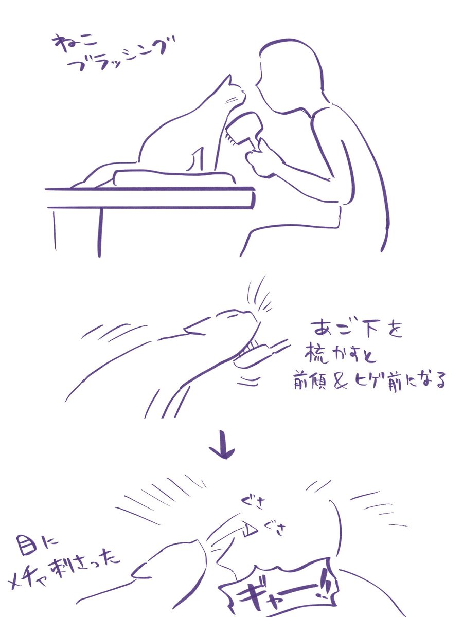 ヒゲぶわ🐈 