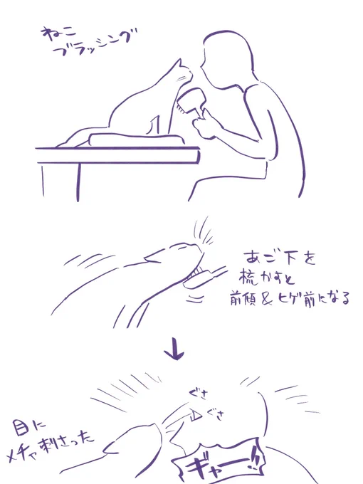 ヒゲぶわ🐈 
