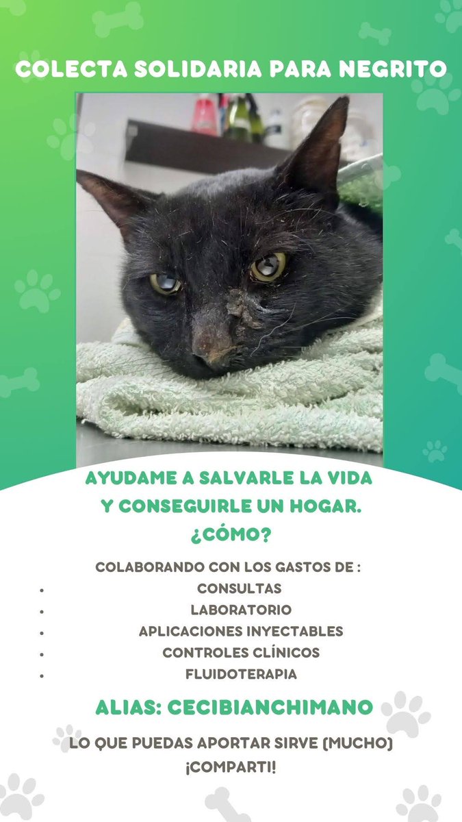 Lucía Catallani (@lucatallani) on Twitter photo 
