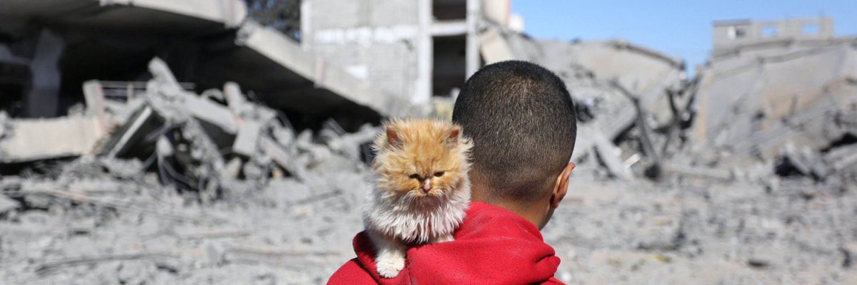 ElBaradei's tweet photo. .#Gaza today…
A world that lost its hearts and minds… https://t.co/Ne5aFu3jtD
