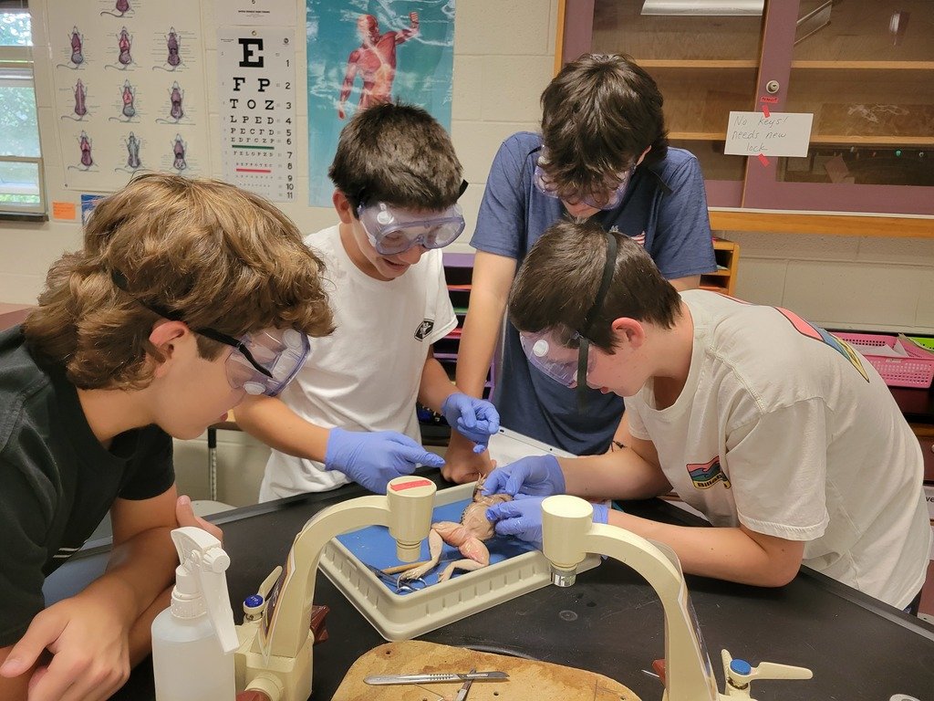 WeAreHickory's tweet photo. Mrs. Coninx's Biology students enjoyed hands-on learning while dissecting a frog this week #dissection #frogfun https://t.co/2RXedHjmZV