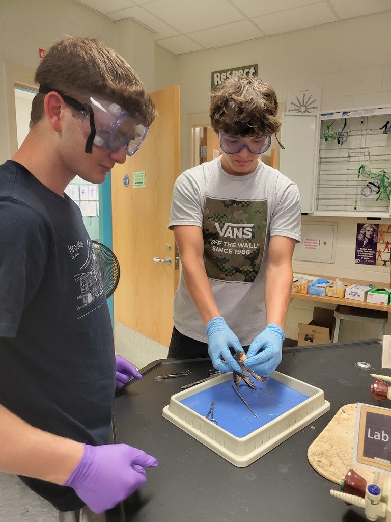 WeAreHickory's tweet photo. Mrs. Coninx's Biology students enjoyed hands-on learning while dissecting a frog this week #dissection #frogfun https://t.co/2RXedHjmZV