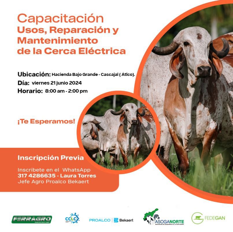 🚜✨ Asoganorte invita al segundo encuentro "Giras Técnicas CCLC: Uso, reparación y mantenimiento de cerca eléctrica" el 21 de junio en Hacienda Bajo Grande, Cascajal Atlántico. Formación gratuita y certificada. Inscríbete aquí: forms.office.com/e/2v3d7S9Gvg. #GanaderiaSostenible