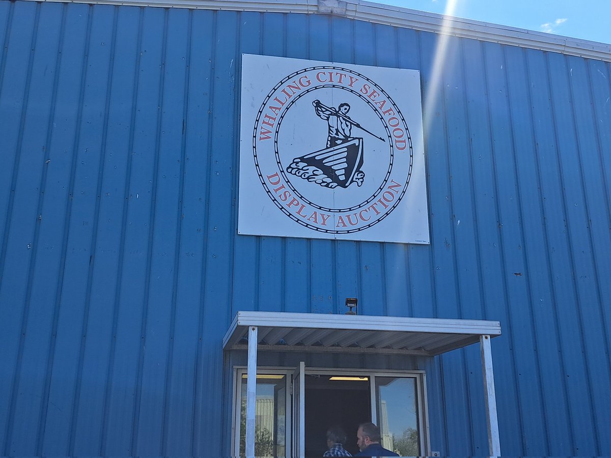 Sean Lucey tweet media