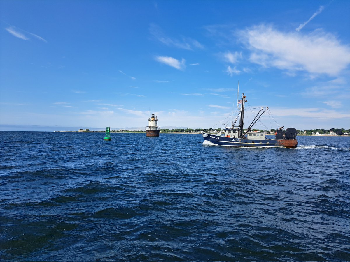 Sean Lucey tweet media