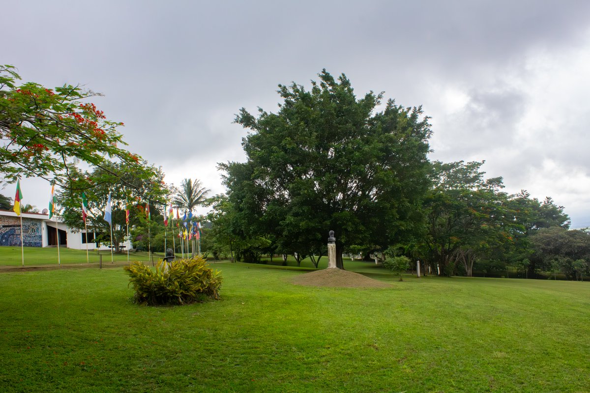 UPEACE Centre tweet media