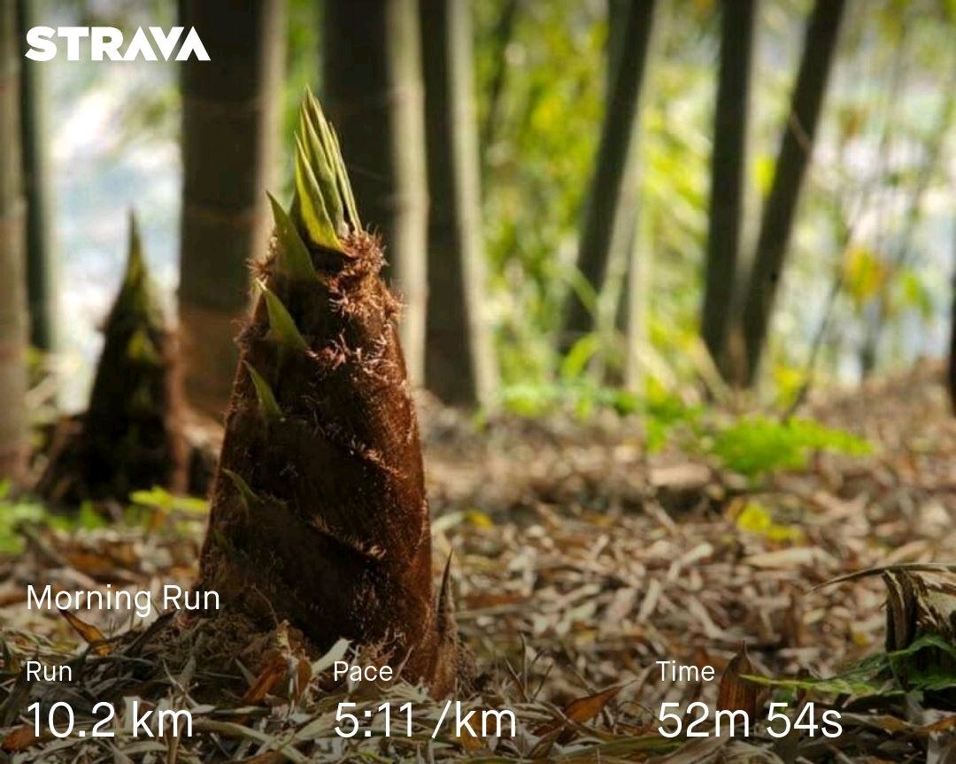Ryder_Lan's tweet photo. Kiên trì, tích lũy hàng ngày... kết quả sẽ đến👍 https://t.co/eZ0HHZVlVe