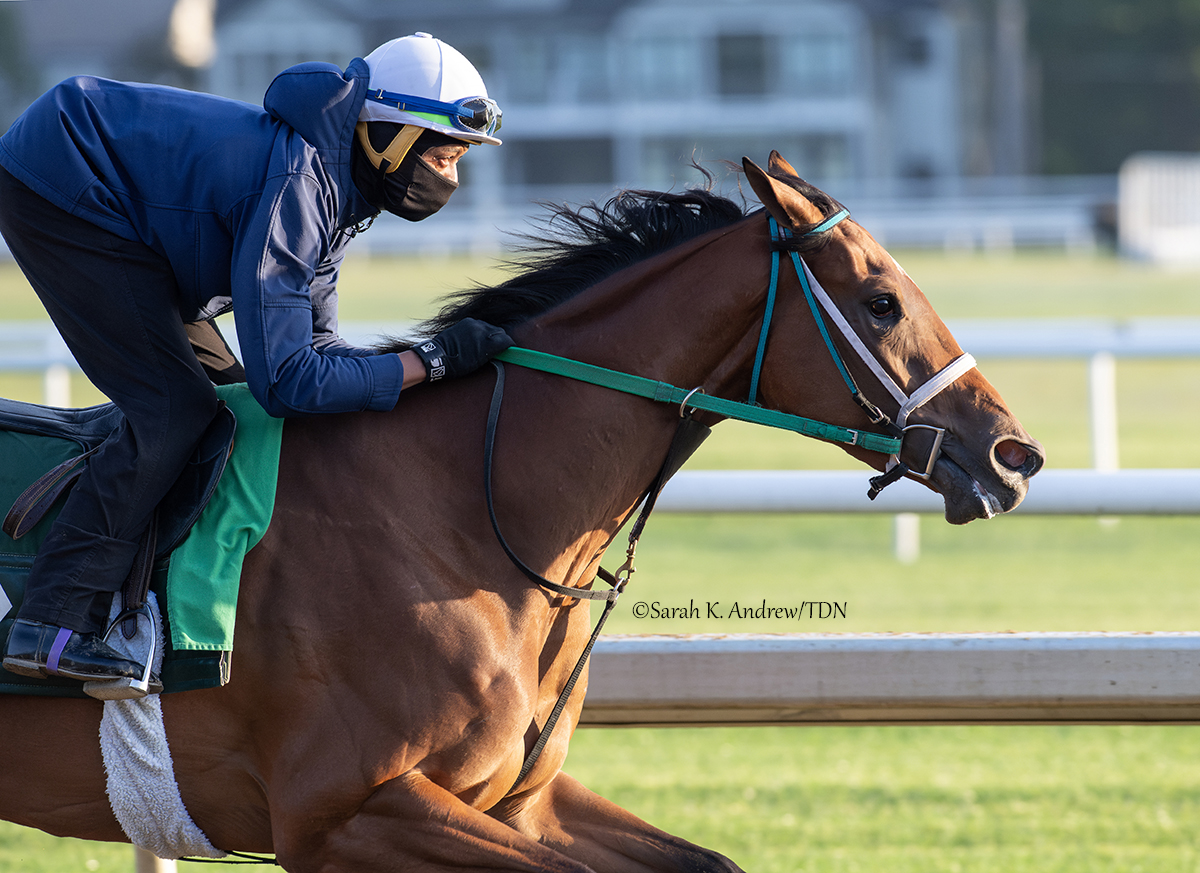 theTDN's tweet image. Gary Contessa trainees BECKY'S JOKER (Practical Joke) and NUTELLA FELLA (Runhappy), both graded stakes winners at the Spa last summer, will make their respective 3-year-old debuts during the @BelmontStakes Racing Festival at Saratoga.

👉 Becky's Joker, winner of the 2023 GIII…