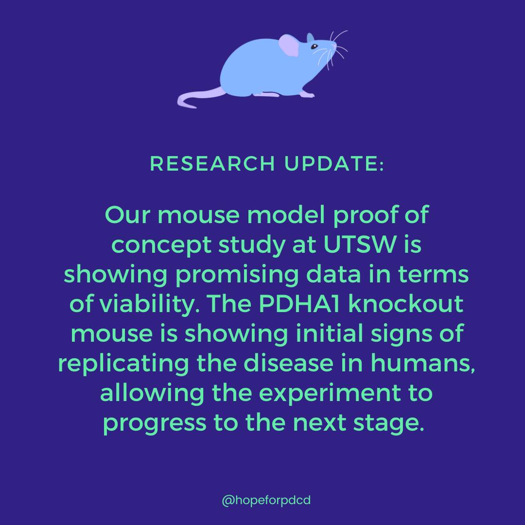 Hope for PDCD Foundation tweet media