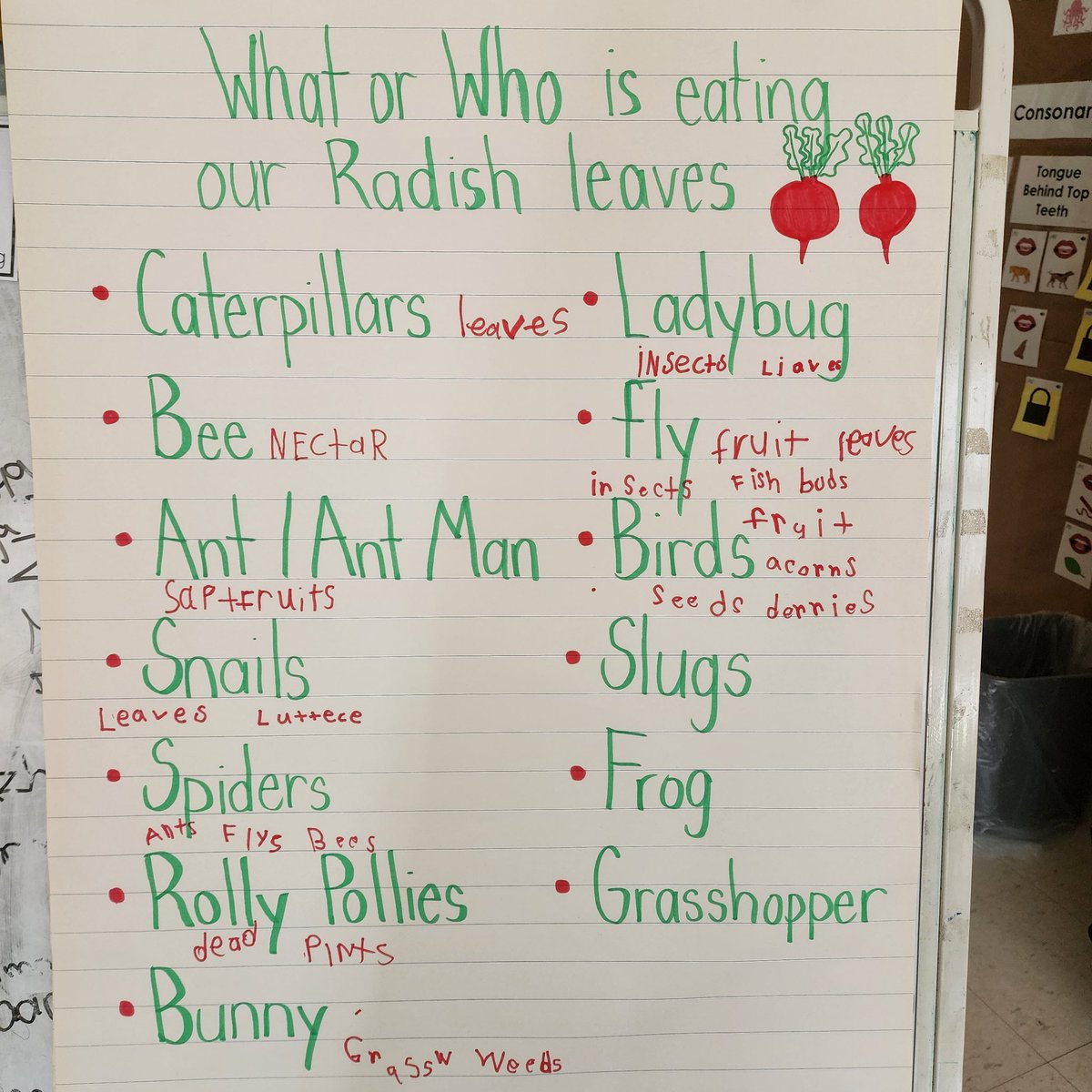 Natasha Arora-Bhalla tweet media