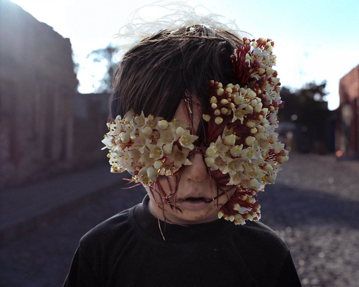 Eduardo Valdés-Hevia 👁️ tweet media