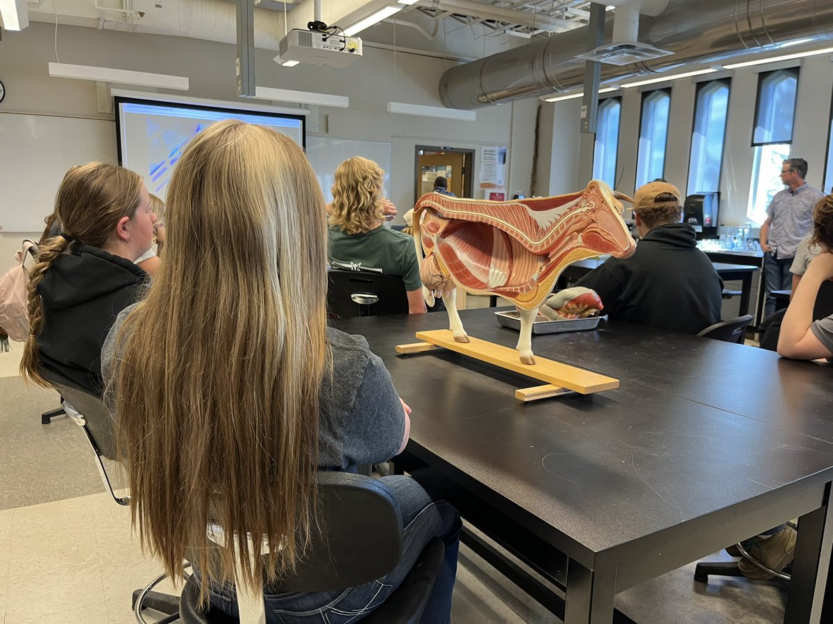 N_Neubauer's tweet photo. Thank you to @PIPInternation1 and @LethCollege for welcoming our students into your facilities to explore the exciting world of agriculture! Together, we can #igniteminds and #forgefutures for our students! @PrairieRoseSD8 #AgPro https://t.co/4PmK0eMt9R