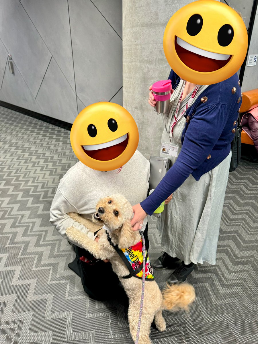 Therapuppy1's tweet image. Jellybean put on his big pup tie to greet some new friends at the Western Sydney University School of Education Mid-Year Planning Day. #Jellybean #schooldog #dogsofeducation #lovewhatwedo #lovewherewelearn #therapydog #cavoodle