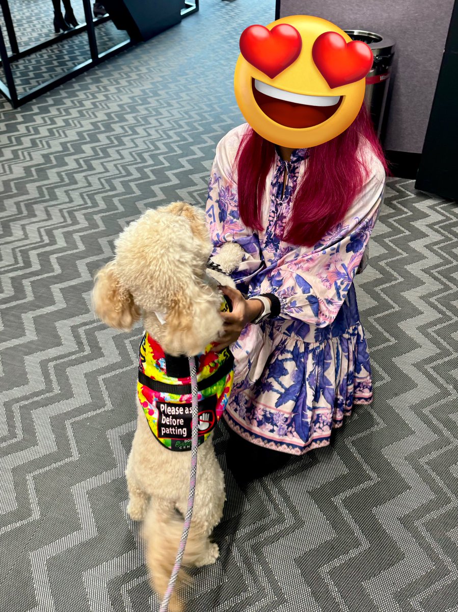 Therapuppy1's tweet image. Jellybean put on his big pup tie to greet some new friends at the Western Sydney University School of Education Mid-Year Planning Day. #Jellybean #schooldog #dogsofeducation #lovewhatwedo #lovewherewelearn #therapydog #cavoodle