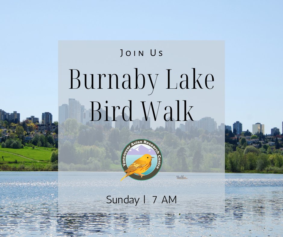 VARCbirdbanding's tweet photo. This weekend, we're off to Burnaby Lake to soak up some much-needed sunshine! Come join us for a refreshing morning in nature.

Register through the link below
https://t.co/4Ay5nHM1b7 https://t.co/9Pu21k8f4J