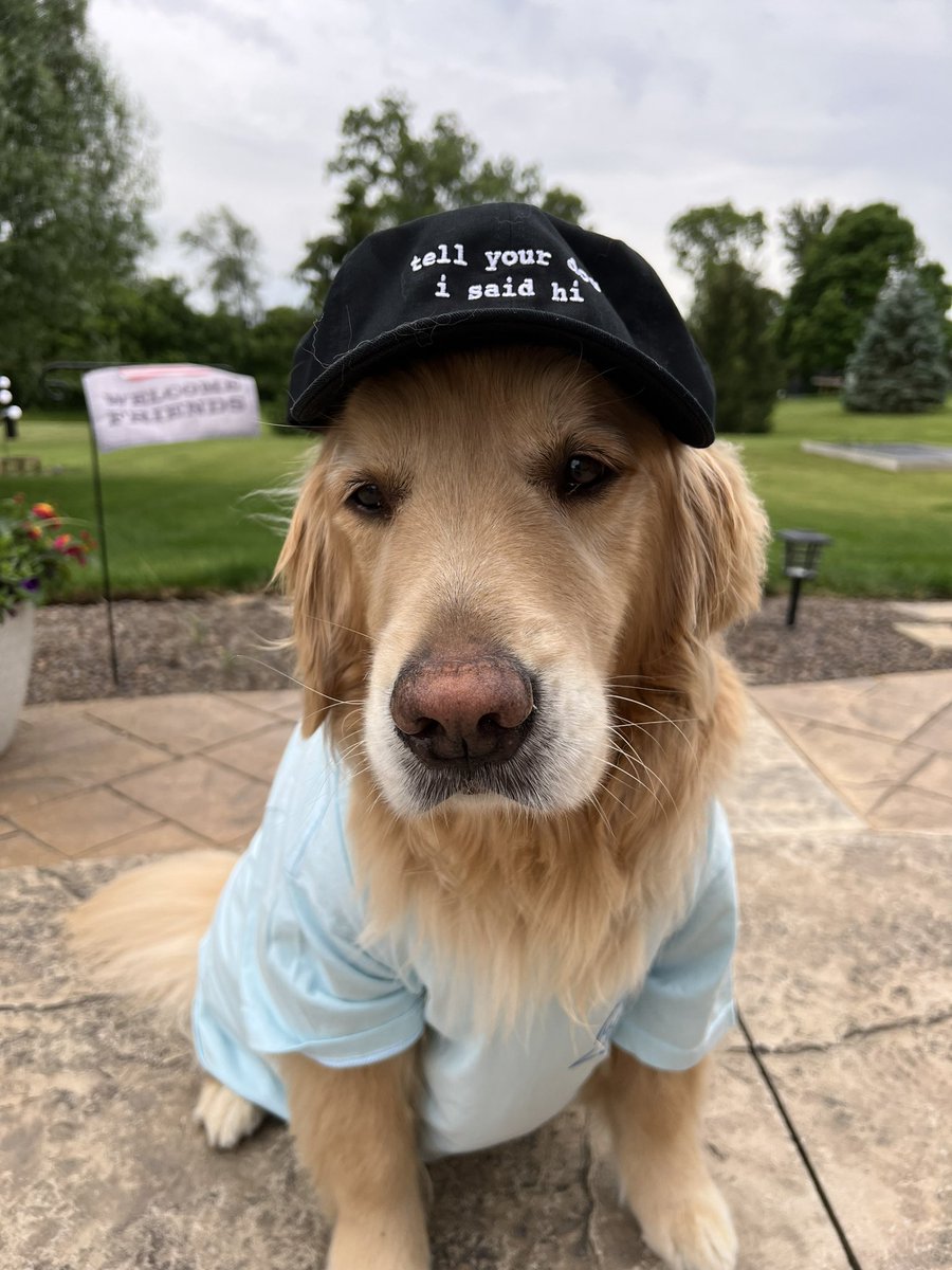 mbonecutter1's tweet photo. @dog_rates got my bundle today but i think my dog wears it better https://t.co/S1Zg4FYxTP