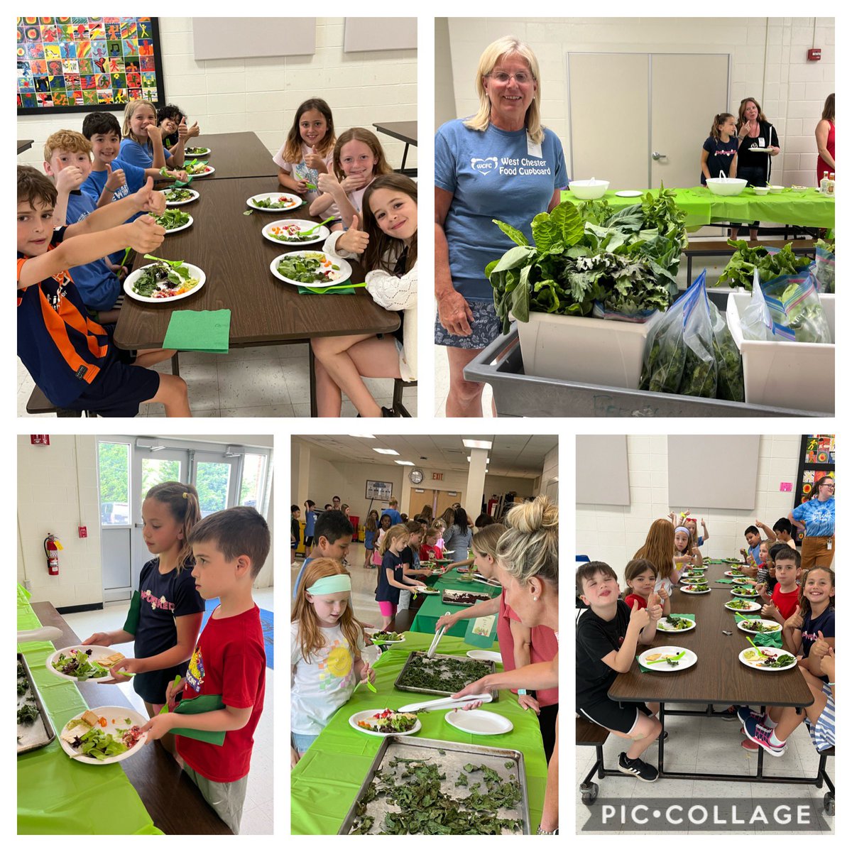 MrsMizesClass's tweet image. The 2nd grade tasting party was a success!! Ss prepped the harvest this morning, then saw an amazing chef demonstration with a wonderful local chef, tasted their harvest, AND made a donation to @WCFoodCupboard!! Today was a good day!🥬🫛🥕💚 @IanKerr_math