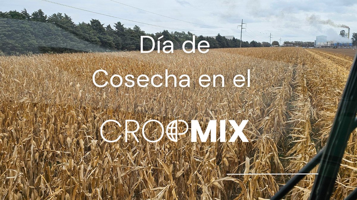Epoca de Cosecha en el Cropmix Lab