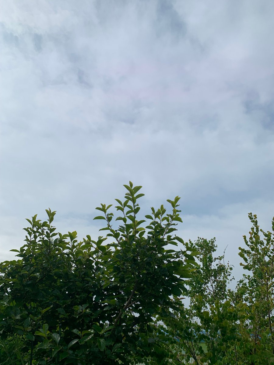 alpha_kokin's tweet photo. おはようございます
さいたま市は晴れ。

日中は今日も
暑くなりそうです。
水分補給しながら
頑張ってまいりましょう。

本日もよろしく
お願い致します。

#アルファ抗菌サービス　
#企業公式が毎朝地元の天気を言い合う
#企業公式相互フォロー
#抗菌　#埼玉　#さいたま市 https://t.co/ebcbSwcnR7