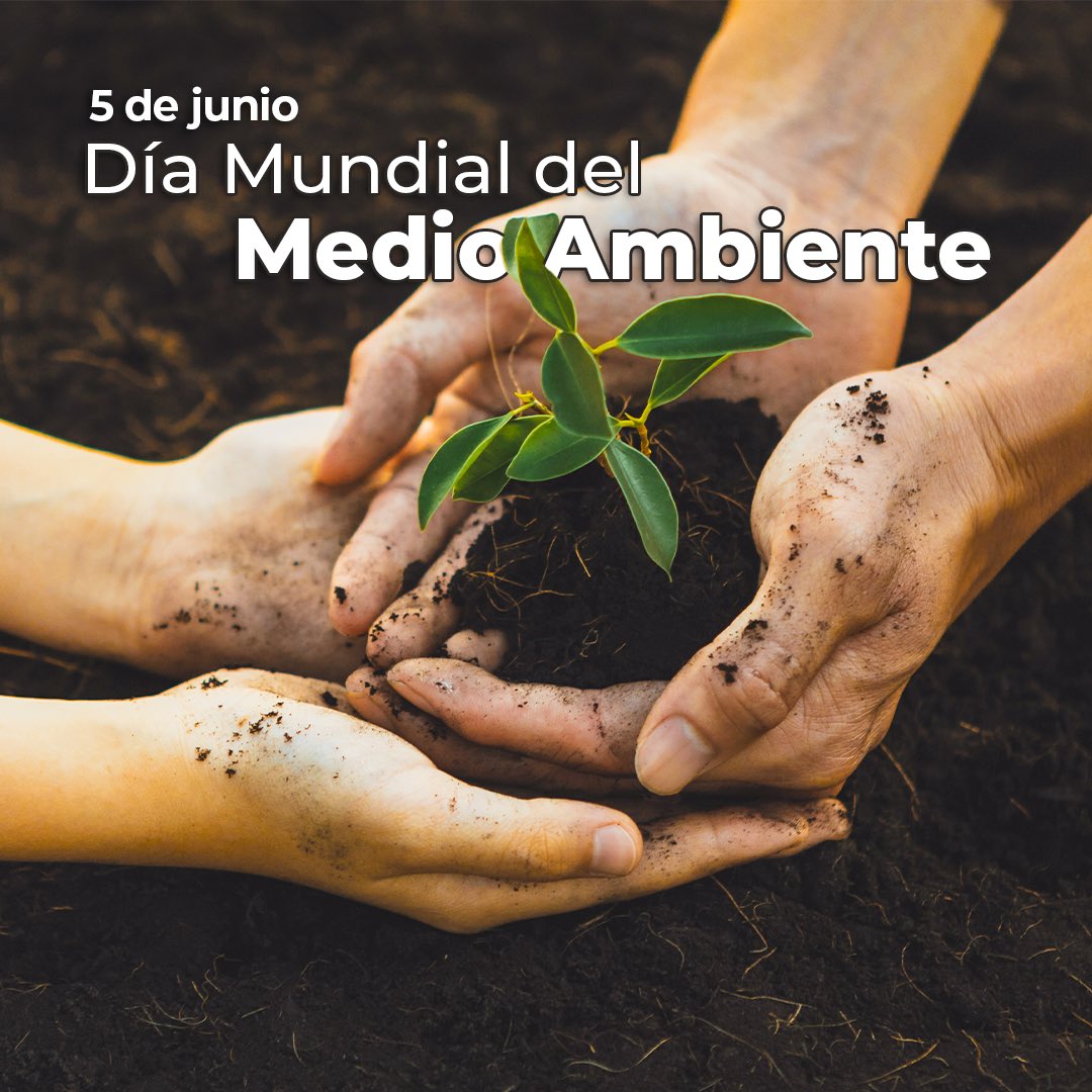 Hoy celebramos el Día Mundial del Medio Ambiente, una oportunidad para reflexionar sobre nuestra relación con la naturaleza y comprometernos a proteger nuestro planeta. Cada pequeña acción cuenta para preservar los ecosistemas y garantizar un futuro sostenible.