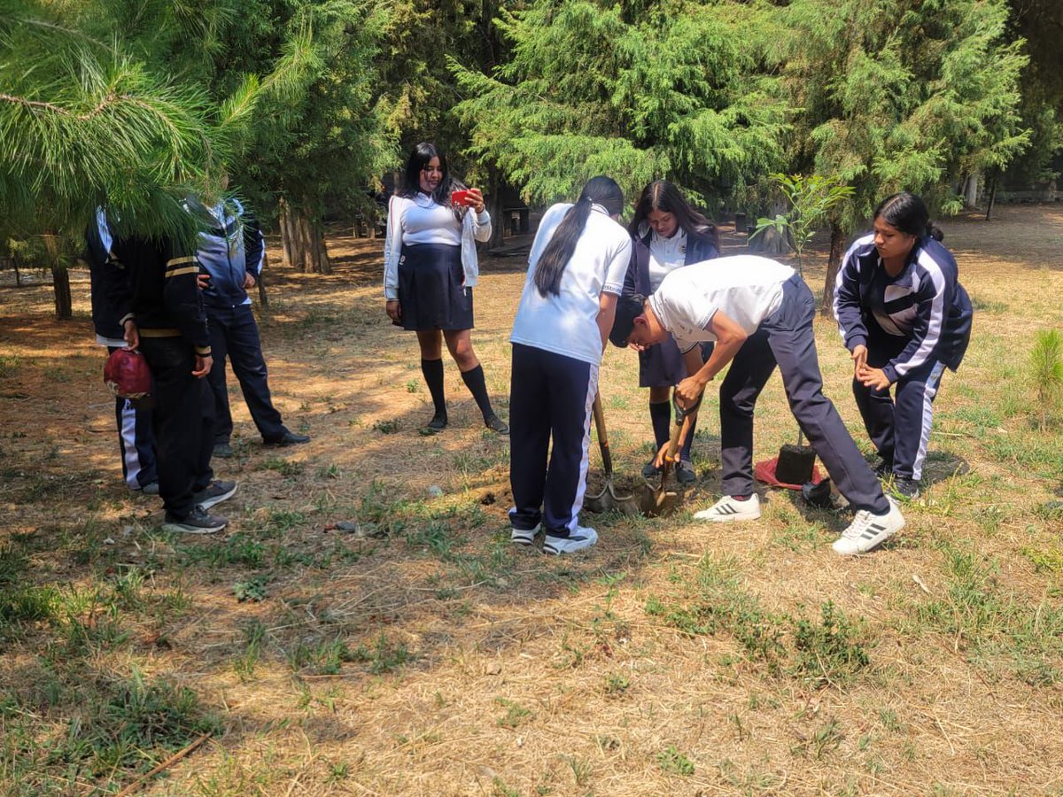 Cobaem_Morelos's tweet photo. 🌱🌲 En el marco de la conmemoración del Día Mundial del Medio Ambiente, así como en seguimiento a las acciones del programa #ECOBAEM, la comunidad estudiantil del #Emsad07 #Jumiltepec, realizó diversas actividades, https://t.co/gJFaQU93hr