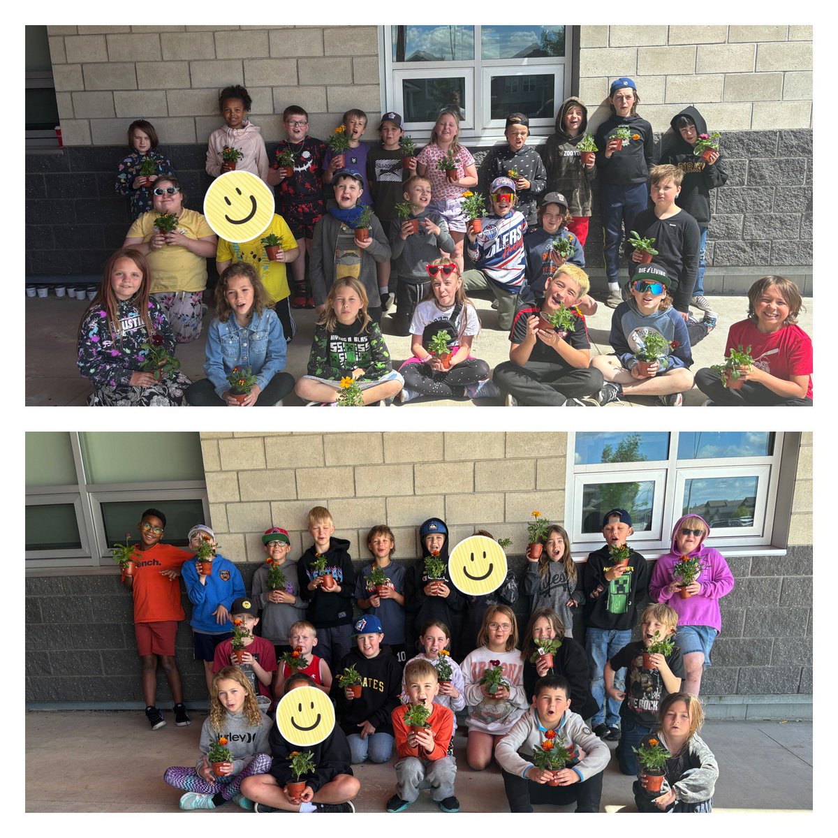 #4Deneill got our plant on today. We each got a flower to take home and watch grow as well as planted some tomato seeds. Thanks to Mrs Walton and Miss Woitas for picking out some beautiful flowers <a href="/alohateach/">Jen Walton</a> @MissWoitas <a href="/IRIC_WC/">IRIC</a>