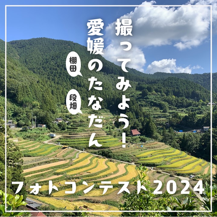 iyokannet's tweet photo. 「#愛媛のたなだん」フォトコンテスト2024を開催します🌟

愛媛の棚田の四季折々の美しい風景を写真に撮ってみてください！

▼フォトコンテストの詳しい内容はこちらをチェック！
https://t.co/MOLuiCvBzP https://t.co/QgwqWyTB2i