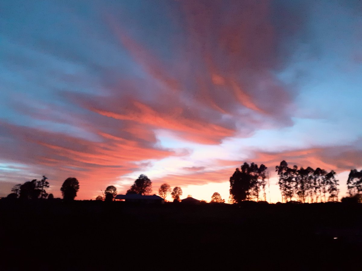 Sunrise Ngahinapouri Waipa district Waikato Aotearoa NZ