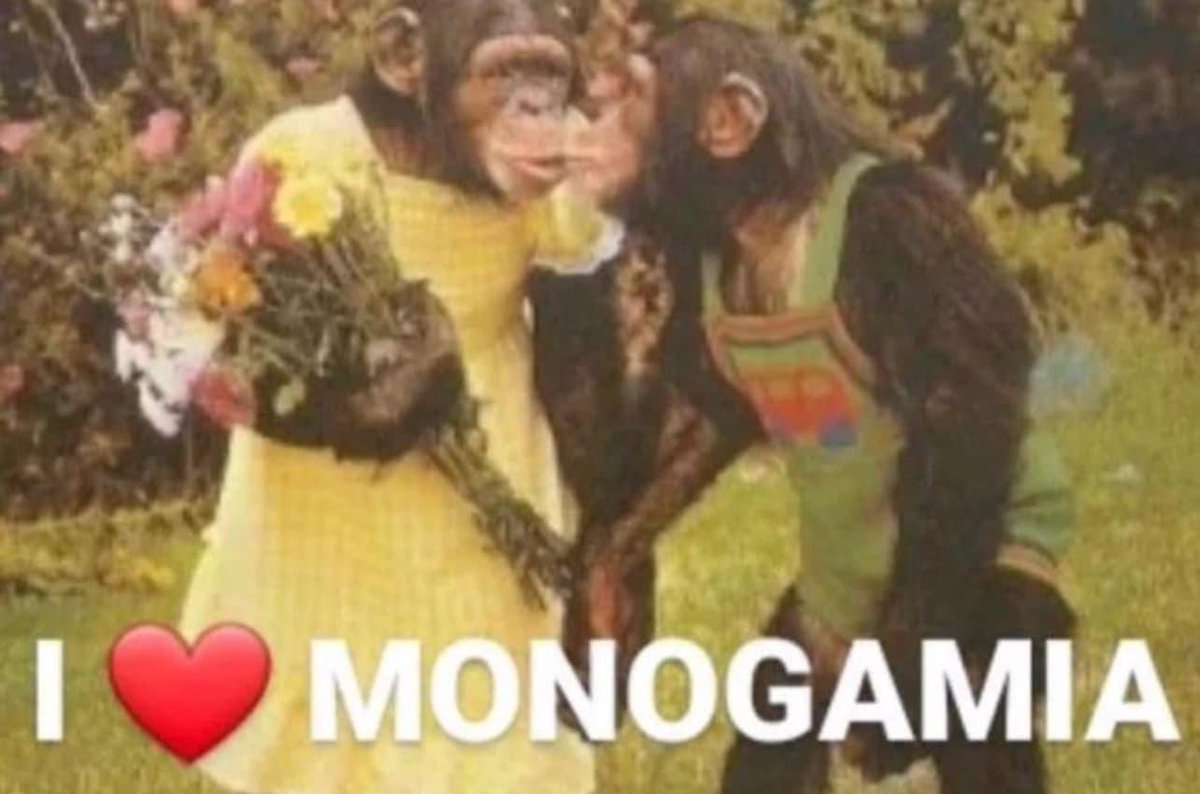 mi amada y yo