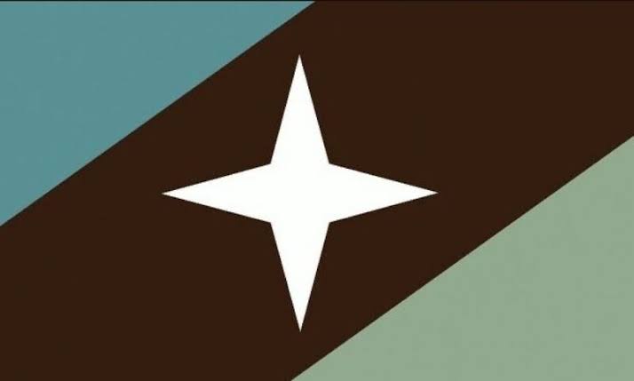 wictoar's tweet image. ⚠️As we are already in Pride Month, remember that these flags are &gt;&gt;Z00PHILIA&lt;&lt; flags! ⚠️
Do not accept drawing YCH and Commissions Using this shi*!