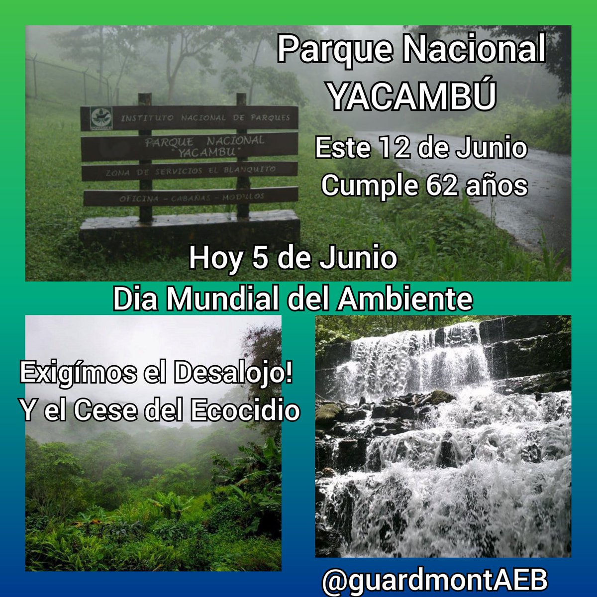 AnahysDb's tweet photo. Hoy día Mundial del ambiente a 7 días de que nuestro pulmón vegetal PN Yacambu Cumpla 62 años! Nosotros los Guardianes de la Montaña @GuardmontAEB exigímos el Desalojo del parque nacional,  exigimos el cese de Ecocidios.#NoALaDevastacionDeLaMontaña 
#DíaDelMedioAmbiente https://t.co/TRQr2ckf4k