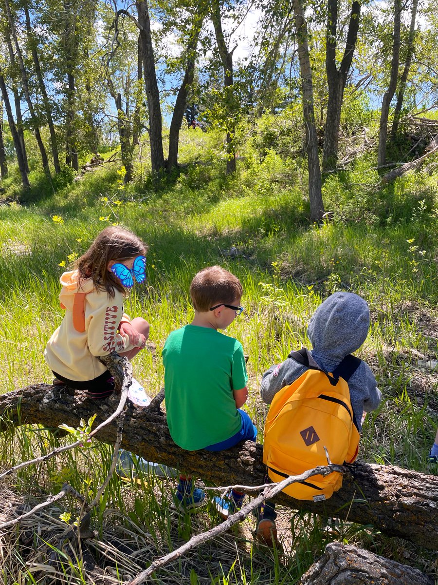 msrogstadsclass's tweet photo. We had an amazing afternoon at Fish Creek Park with the 2/3 classes! They invited us to their sit spot where we spent most of the time journaling what what was up, down and all around ✏️ https://t.co/6g4BgbP6SL