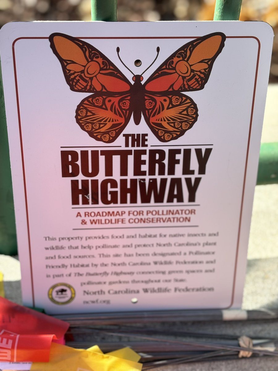 Inquiring minds want to grow! Our garden is expanding and we can’t wait to see what the future holds. 🌺 🍅 🫘  #pollinators #vegetables