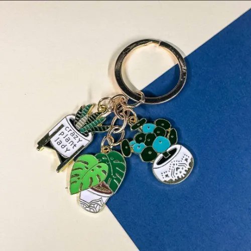 I just received Plant Keychain from captaindylan via Throne. Thank you! 🩷throne.com/vernolopia #Wishlist #Throne