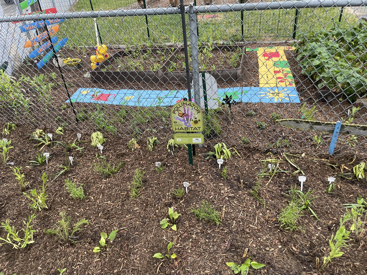 Just finished planting a beautiful native plant pollinator garden in our Outdoor Classroom! Excited to see bees, butterflies, and more.🌸🌿 Thank you to Mrs. Hespe, Mrs Gorski, and my Master Gardener friend Joanne for  helping me plant. <a href="/NutSwampSchool/">NutSwamp School PTA</a> <a href="/MTPSpride/">Middletown Township Public Schools</a> <a href="/xercessociety/">The Xerces Society</a>