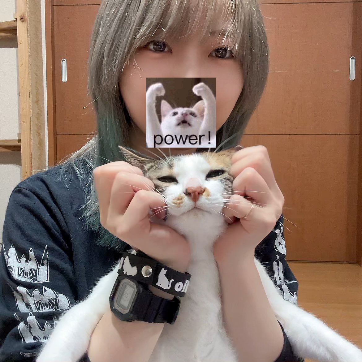 OneTiesさん（@ties_HRN1028 ）遊びに行ったらワンちゃん猫ちゃんの