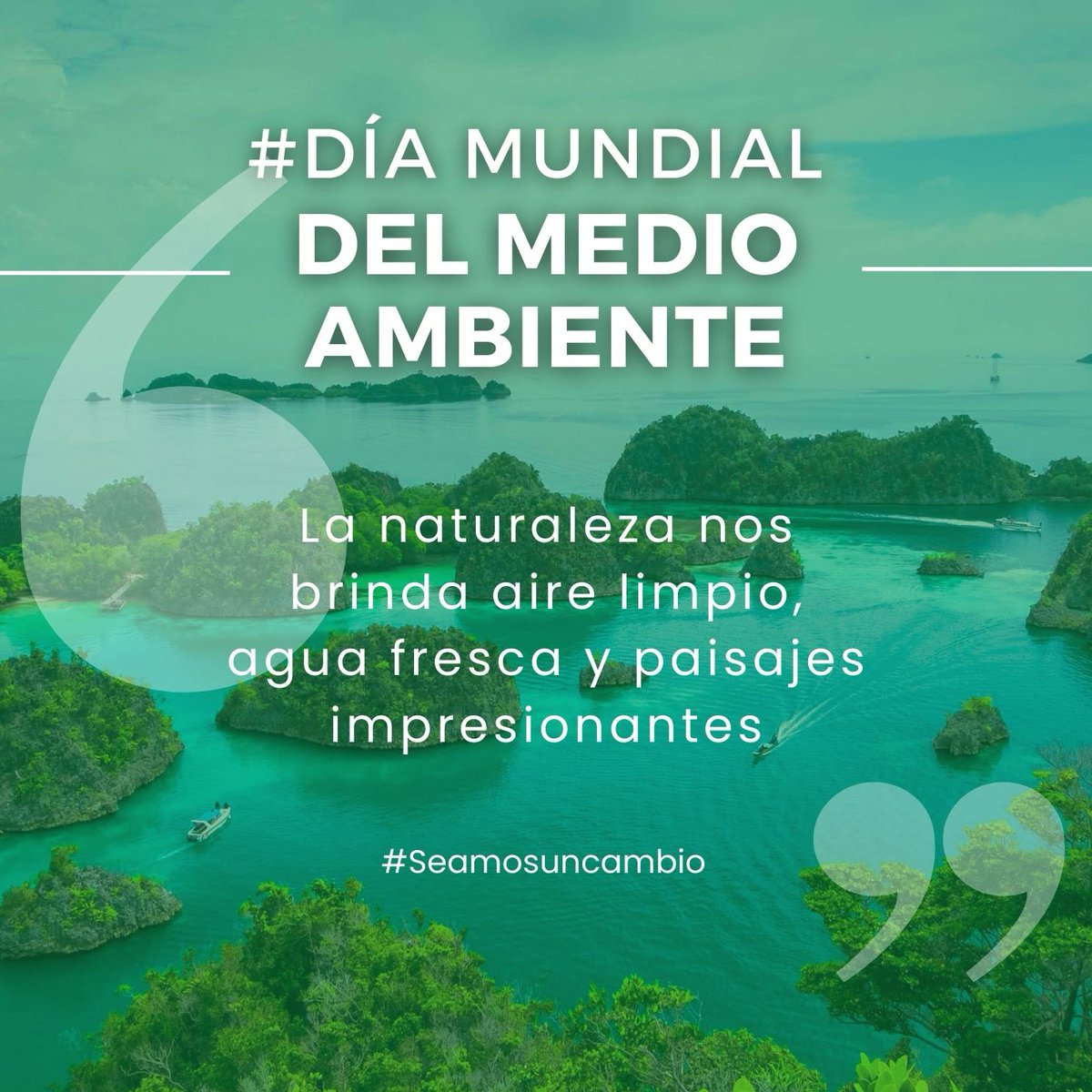 MT_Colectivo's tweet photo. ¡Celebremos el #DíaMundialdelMedioAmbiente juntos! Comparte tus pequeñas acciones para cuidar nuestro planeta en los comentarios.💚��nete a nosotros para marcar la diferencia y crear un futuro más sostenible. #DíaDelMedioAmbiente #MovilidadSostenible #TransporteSostenible https://t.co/xsZqD2kLjh