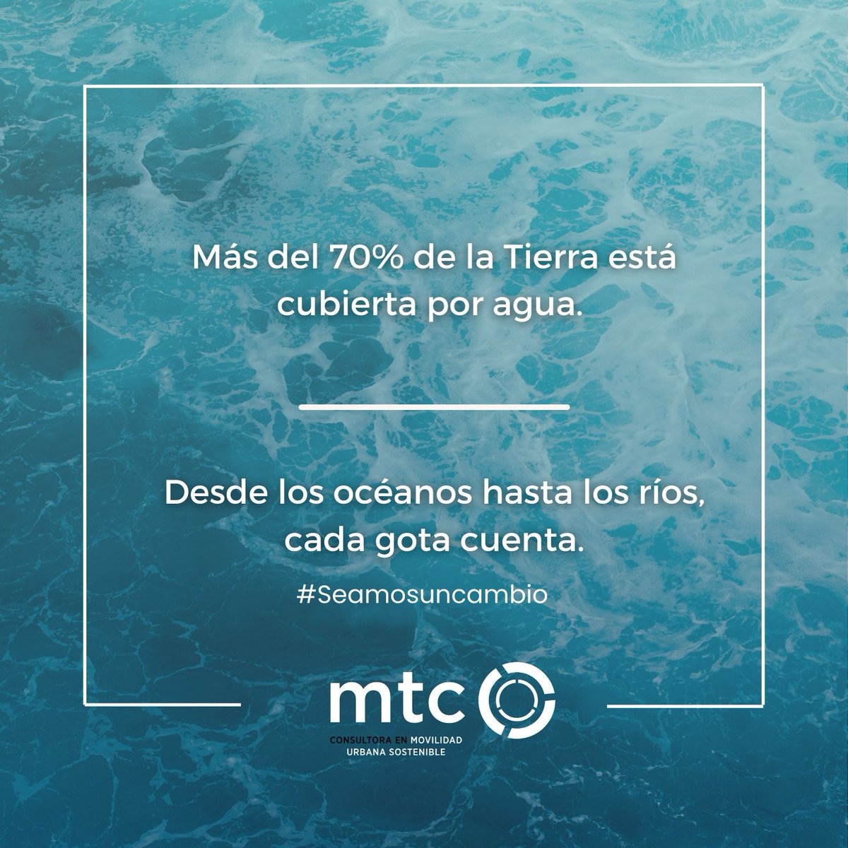 MT_Colectivo's tweet photo. ¡Celebremos el #DíaMundialdelMedioAmbiente juntos! Comparte tus pequeñas acciones para cuidar nuestro planeta en los comentarios.💚��nete a nosotros para marcar la diferencia y crear un futuro más sostenible. #DíaDelMedioAmbiente #MovilidadSostenible #TransporteSostenible https://t.co/xsZqD2kLjh