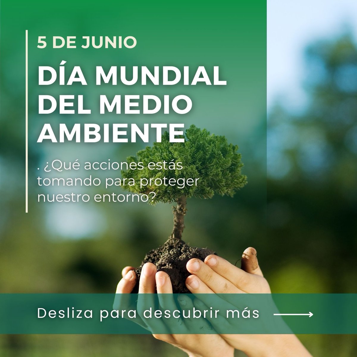 MT_Colectivo's tweet photo. ¡Celebremos el #DíaMundialdelMedioAmbiente juntos! Comparte tus pequeñas acciones para cuidar nuestro planeta en los comentarios.💚��nete a nosotros para marcar la diferencia y crear un futuro más sostenible. #DíaDelMedioAmbiente #MovilidadSostenible #TransporteSostenible https://t.co/xsZqD2kLjh