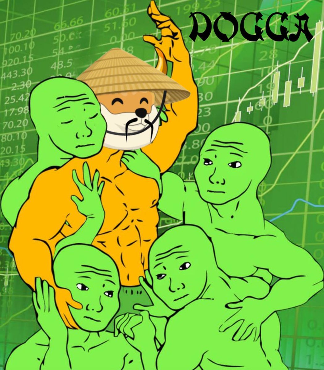 All the crypto bros love Chinese Doge $DOGGA