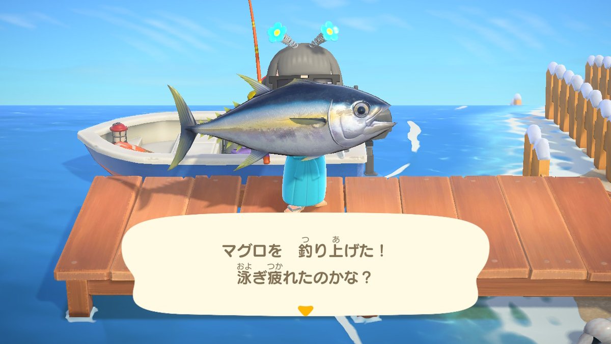 _rn1m's tweet photo. #どうぶつの森 #AnimalCrossing #ACNH #NintendoSwitch https://t.co/CltIyK14rC