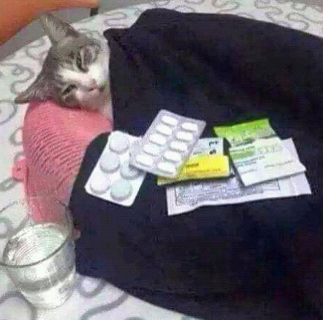 ya m cansé de estar enferma